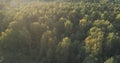 Aerial flight over autumn trees in wild park in september Royalty Free Stock Photo