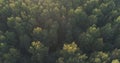 Aerial flight over autumn trees in wild park in september Royalty Free Stock Photo