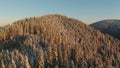 Aerial: flight over foggy autumn colourful forests.