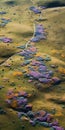 Aerial Flower Landscape In Tucson, Arizona: Textural Experimentation And Colorful Biomorphs Royalty Free Stock Photo