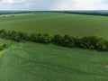 Aerial fly above vibrant green fields, rural scene Royalty Free Stock Photo