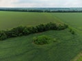 Aerial fly above wheat green fields, rural scene Royalty Free Stock Photo