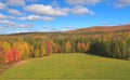 AERIAL: Flying above large green meadow in the middle of dense fall woodlands.