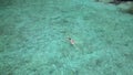 AERIAL: Flying above lonely Caucasian woman swimming in crystal clear ocean. Royalty Free Stock Photo