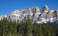 AERIAL: Flying along pine forest under the stunning snow capped Canadian Rockies Royalty Free Stock Photo