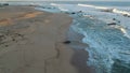 Aerial flying forward over beach and ocean in Portugal at sunrise as birds fly below