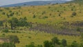 AERIAL Flying high above a massive stampede of countless zebras and wildebeests.