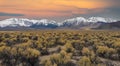 AERIAL: Flying over the barren wilderness beneath the spectacular snowy mountain Royalty Free Stock Photo