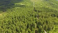 Aerial of flying over a beautiful green forest in a rural landscape. Wild pine forest aerial. Nature wilderness woodland