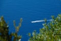 AERIAL: Flying over olive branches and towards speedboat racing in the ocean. Royalty Free Stock Photo