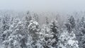 AERIAL: Flying over snow covered forest while a whiteout rages in the mountains.