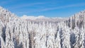 AERIAL: Flying over a snowy forest and towards the majestic mountain range.