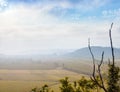 Aerial foggy landscape with cultivated fields and dead limbs