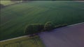 Aerial footage cinematic mid-speed orbit and reveal Drone shot of trees in the middle of fields in sunset.