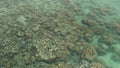 aerial footage, birds eye view of coral reef