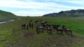 Aerial footage of horses in Iceland