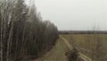 Aerial forest field border, byroad in country side