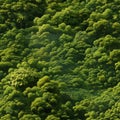 Aerial forest pattern enchanting view of natures serene beauty and captivating allure