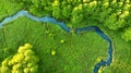 Aerial. Forest river estuary. Beautiful landscape. Royalty Free Stock Photo