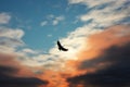 Aerial grace bird silhouette dances against a canvas of clouds