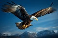 Aerial grace flying eagle against a serene and vivid blue