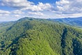 Aerial green forest trees