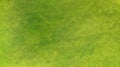 Aerial. Green grass texture background. Royalty Free Stock Photo