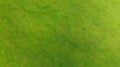 Aerial. Green grass texture background. Royalty Free Stock Photo