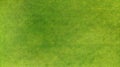 Aerial. Green grass texture background. Royalty Free Stock Photo