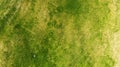 Aerial. Green grass texture background Royalty Free Stock Photo