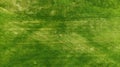 Aerial. Green grass texture background Royalty Free Stock Photo