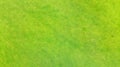 Aerial. Green grass texture background. Royalty Free Stock Photo