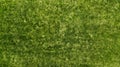 Aerial. Green grass texture background.  Natural turf. Royalty Free Stock Photo