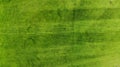 Aerial. Green grass texture background. Top view from drone Royalty Free Stock Photo