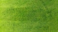 Aerial. Green grass texture background. Top view from drone Royalty Free Stock Photo