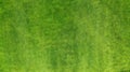 Aerial. Green grass texture background. Top view from drone Royalty Free Stock Photo