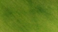 Aerial. Green grass texture background. Top view from drone Royalty Free Stock Photo