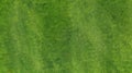 Aerial. Green grass texture background. Royalty Free Stock Photo