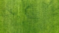 Aerial. Green grass texture background. Top view from drone Royalty Free Stock Photo