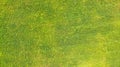 Aerial. Green grass texture background.