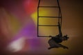 Aerial gymnast in black leotard on multicolored background of studio. Female acrobat performing on a cube, performing