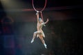 Aerial gymnast with a circus number