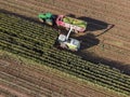 Aerial harvest of a corn field in summer