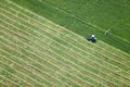 Alfalfa hay cut and wind rowed in an Idaho field