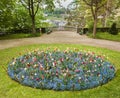 Aerial high view by drone on colorful flowerbed circle in park