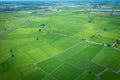 Aerial image of beautiful green paddy rice field and walkways in Thailand Royalty Free Stock Photo