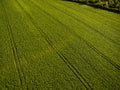 Aerial image of a lush green filed