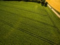 Aerial image of a lush green filed