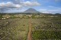 Aerial image showing typical vineyard culture viticulture landscape of Pico Island at CriaÃÂ§ÃÂ£o Velha and CandelÃÂ¡ria, Madalena Royalty Free Stock Photo