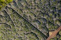 Aerial image showing typical vineyard culture viticulture landscape of Pico Island at CriaÃÂ§ÃÂ£o Velha and CandelÃÂ¡ria, Madalena Royalty Free Stock Photo